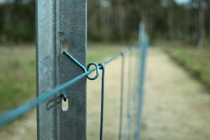 IP_one-steel_waratah_product-design-melbourne.jpg